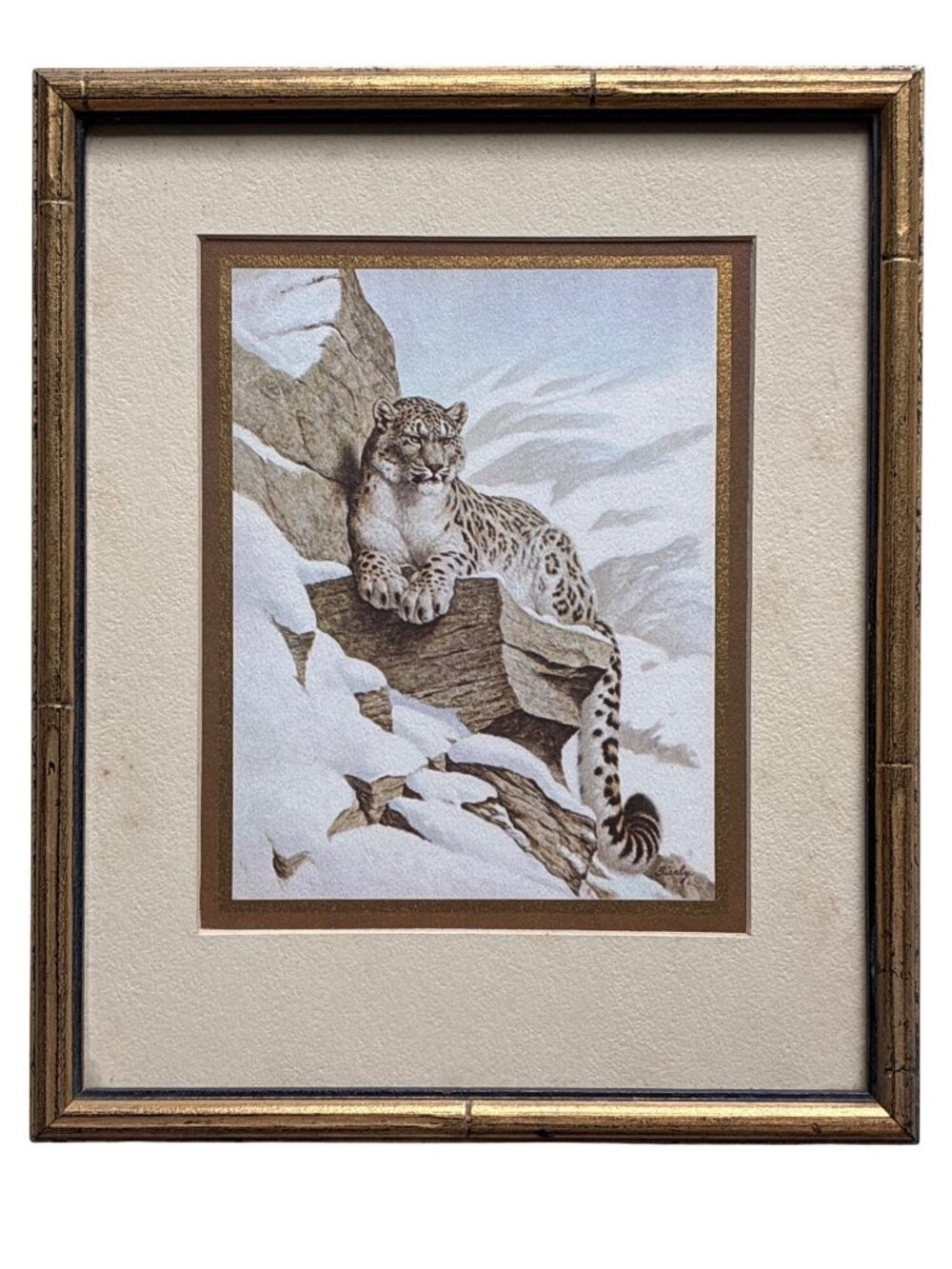 Vintage Edward J Bierly Snow Leopard Framed Lithograph Print 1975 Wildlife Art
